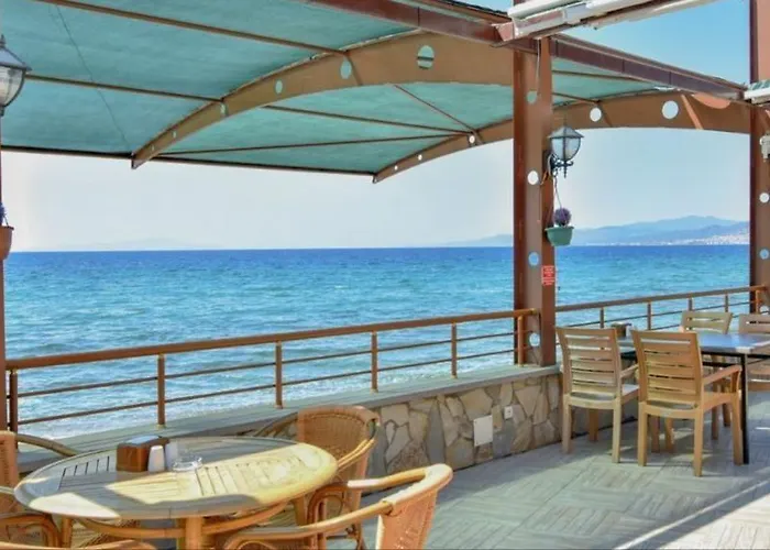 Beykonagi Tahtakuşlar