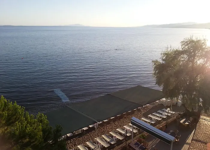 Beykonagi 3* Tahtakuslar