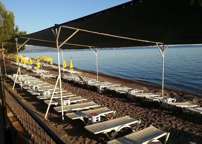 Beykonagi 3* Tahtakuslar